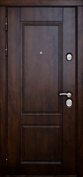Дверь Порошок №31